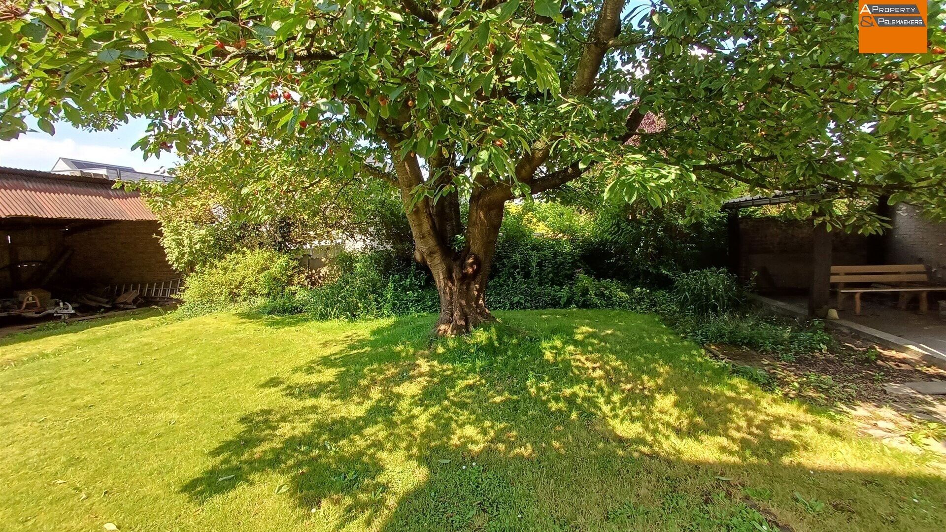 Boerderij te koop in MEERBEEK