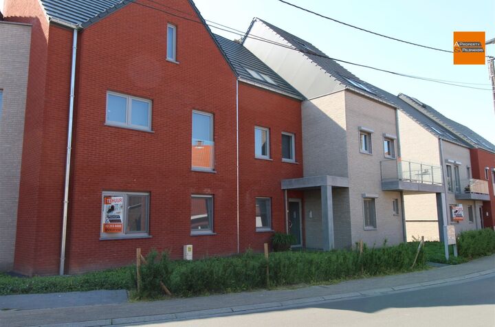 Apartment for rent in Meerbeek